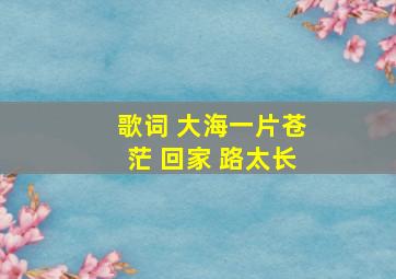 歌词 大海一片苍茫 回家 路太长